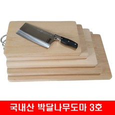 대마도배편