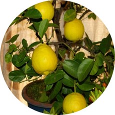 2e135be3-10bb-436e-b71e-7452e4feabfa.jpg