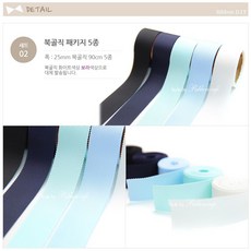 닥터리본핑크리본다이어트