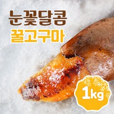 프레쉬홈 눈꽃달콤 아이스 군고구마 꿀 고구마, 꿀고구마 2kg, 1개