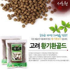 서초원황기
