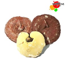 자연한 국산 영지버섯 500g 원형, 1개