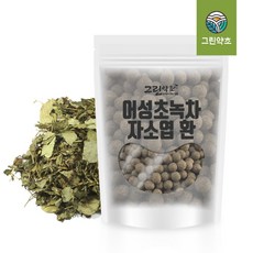 그린약초 국내산 어성초자소엽녹차환 300g, 1개