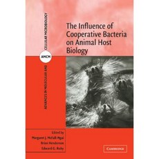 bacteria