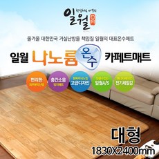 일월나노륨온수카페트대형