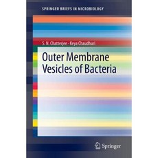 bacteria