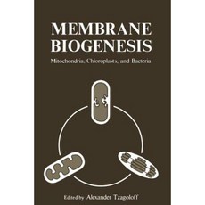 bacteria