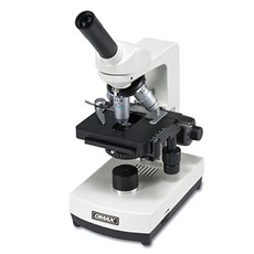 dm600현미경