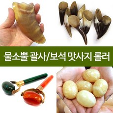 최모나괄사