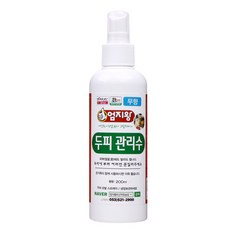 두피자격증