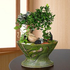 9868d062-baac-4186-8ecb-6e5f3a37f296.jpg