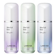 스킨베일베이스