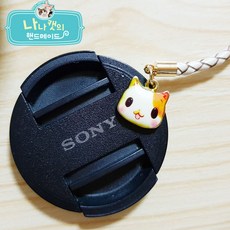 심플렌즈캡홀더