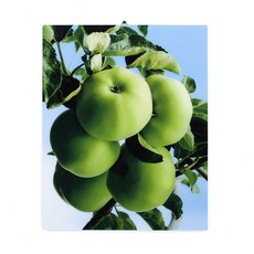 f9cdf3c5-5d8c-4be3-8980-e203f76affe7.jpg