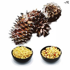 가평잣700g