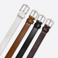 와일드브릭스벨트