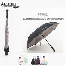 레그넷라이트