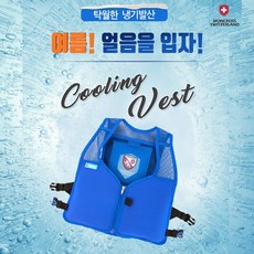 스위스몽크로스아이스