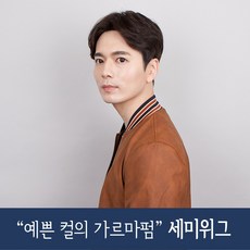 남성가르마세미가발