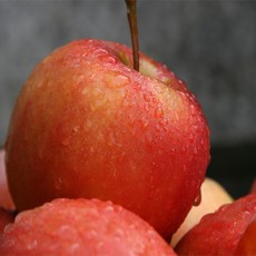 사과바르다도매