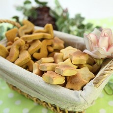 피부관리 연어쿠키 60g, 1팩, 연어