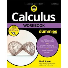 Calculus Workbook for Dummies Paperback