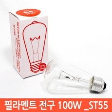 일광 백열전구 ST55 장식용 필라멘트 전구 에디슨전구, 전구색, 1개