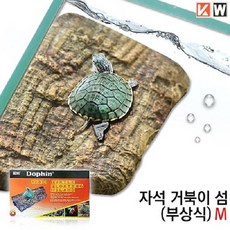 애완용돌