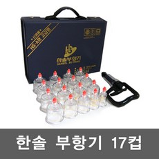 국산정품 NEW한솔 부항기 17컵 펌프포함, 1개