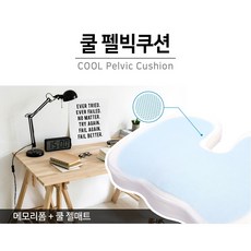 펠빅쿠션