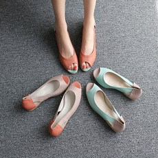 빅사이즈토오픈