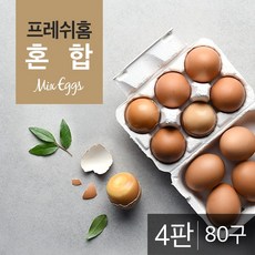 프레쉬홈쓰리라차
