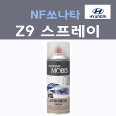 순정품 현대 NF쏘나타 Z9 스프레이 붓펜 카페인트