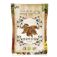 말굽버섯차