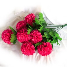 a30cd25d-448c-42c6-a8ec-42a19e6c161e.jpg