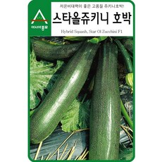 원형쥬키니노란호박