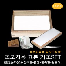 표본세트