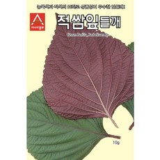 e85fd470-32a0-456e-aefb-648bba85222e.jpg
