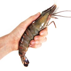 블랙타이거슈림프(오리지널l)영양성분