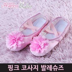 은평구발레슈즈