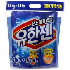 몽디에스표백제
