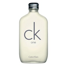캘빈클라인 CK ONE EDT 200ml+공병증정 무료배송, 200ml