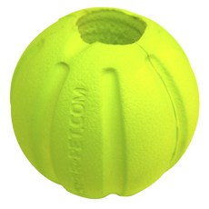 바람펫피트니스프로