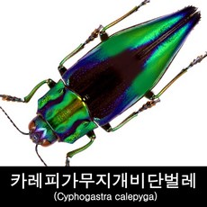 3ad67140-3d12-4de2-b247-73fea134dce4.jpg