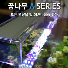 꿈나무 A60 컬러, 1개