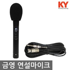 rike마이크