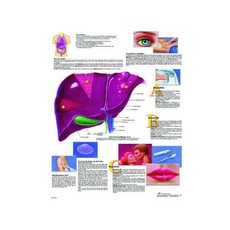 a8c6e6c5-e784-4a15-a732-825d277478e2.jpg