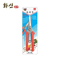 목화신