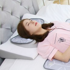 마이미 잠으로 3D 워터쿨링 쿨매트 쿨베개 쿨방석 [더블 특가]국산[무배+당일] 사계절용 만족도100% 특허 메쉬구조 워터냉각방식 반려동물, 잠으로 쿨링베개