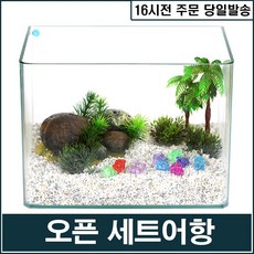 계곡어항